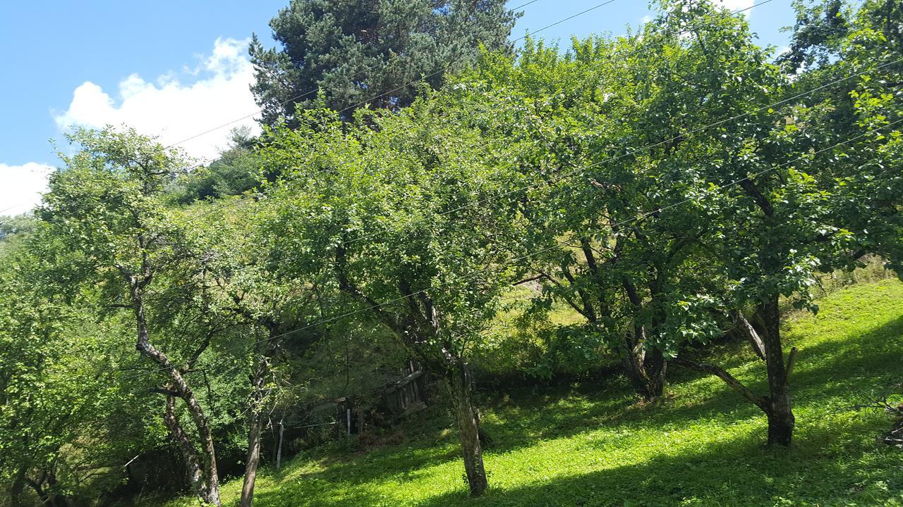 Raul Lushnu Darbaz Mestia Exterior foto