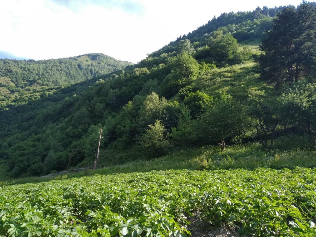 Raul Lushnu Darbaz Mestia Exterior foto